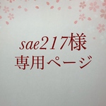 sae 217様是非ページ