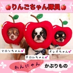 🍎りんごちゃん隊員🍎［4次募集］ラスト