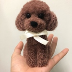 動物ぽんぽん　トイプードル   キャメル
