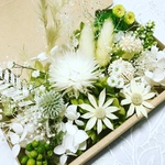 グリーングリーンフランネル＊ハーバリウム　花材ドライフラワー  花材詰め合わせセット