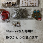 fumikaさん専用