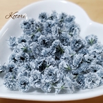 かすみ草ドライフラワー☆５０個グレー