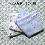 ハンカチ 20×20 色選択 カエル ダブルガーゼタオル 177