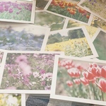 2枚セット♡お花のポストカード　フラワー　ハガキ　写真
