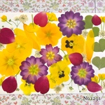 ♡new♡  ♡可愛い押し花セット♡ ♡使いやすい少量の押し花セット♡