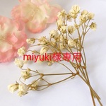 miyuki様専用 かすみ草アンティークホワイト