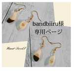 【受注制作】bandbiiru様 専用ページ♡チョコがけバナナ ピアス