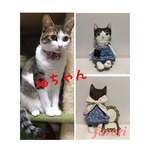 【オーダー様専用】うちの子♥猫人形  ぬいぐるみ