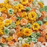 かすみ草 ドライフラワー    ⑤