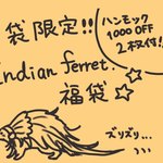 １袋限定🌟Indian ferret.グラスコップとてんこ盛りフェレットグッズ福袋！！