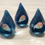 深海しずくのリングスタンド(オウムガイ)