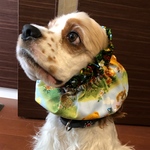 くまさんメルヘンリバーシブル❤︎中型犬用スヌード　犬用スヌード