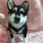 オーダー黒柴ちゃん