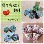 福々鬼BOX【梅】