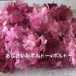 東北花材彩ボルドー×ボルドーアジサイ小分け❣️ハーバリウム花材プリザーブドフラワー