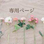 ❁⃘専用ページ❁﻿