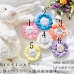 シフォンロゼット