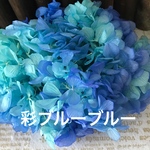 東北花材彩ブルーブルーアジサイ小分け❣️ハーバリウム花材プリザーブドフラワー