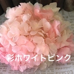 東北花材彩ホワイトピンクアジサイ小分け❣️ハーバリウム花材プリザーブドフラワー