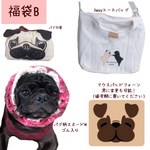 パグの限定福袋B 2020