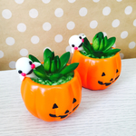 可愛い多肉のハロウィン^ - ^