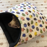 ハリネズミ 寝袋 4層 カラフルはりねずみ 生成り