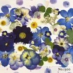 ♡new♡  ♡可愛い押し花セット♡ ♡使いやすい少量の押し花セット♡