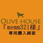 カラフル蝶のUピン