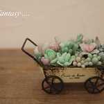 粘土の多肉植物寄せ植え　（車輪付きポット　小）