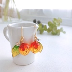 鬼灯(ほおずき)のピアス・イヤリング
