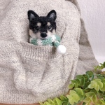 マフラーわんこ♡柴犬・黒柴(mii wool&wool)