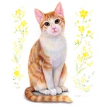 ポストカード47猫と黄色いお花