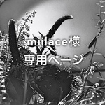 【miilace様専用ページ】クラゲちゃん（グリーン）