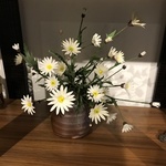 ＊cherry＊　マーガレット　和の花　樹脂粘土　