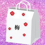 【🏮13日までの限定販売🏮】ふしぎハッピーバッグ🛍【梅】ボリューミーバッグ【送料無料🚚✨】