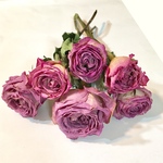【SALE】スタンダード薔薇 6本  ドライフラワー
