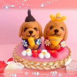 春いっぱい❤️ダックスちゃんのお雛祭り♪