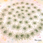 ♡new♡作家様必見♡ ♡レースフラワー 押し花♡