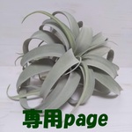 jyujyu-le様 専用ページ