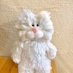白ふわ猫さん