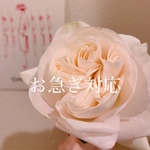 お急ぎ便