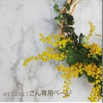mt10ki3専用ページ
