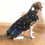 シャツ襟の犬服 M （ビーグル柄・黒）