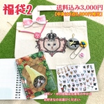 福袋2(中身6,900円相当)