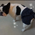 フリルマナーパンツ