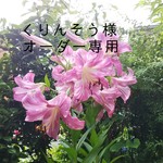 【くりんそう様専用】大人のハンサム＊ノンホールピアス