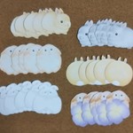 メッセージシール③（うさぎ）