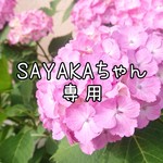 ★☆SAYAKAちゃん専用★☆