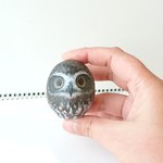 フクロウだるま(ニュージーランドアオバズク)