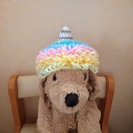 わんこ用かぶりもの！レインボー鬼さん☆Mサイズ
